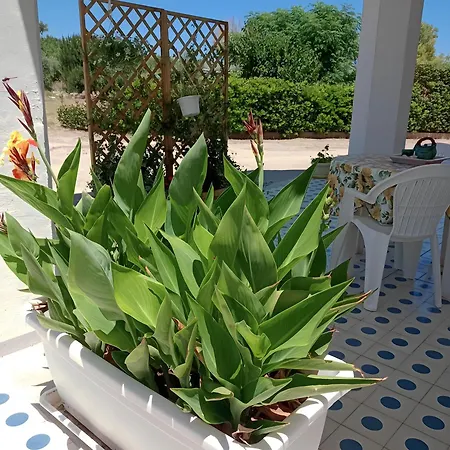 Apartament La Casetta Del Borgo Marinaro Avola