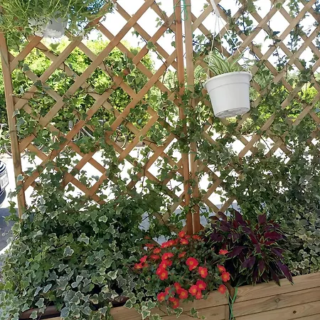 La Casetta Del Borgo Marinaro *