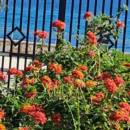 La Casetta Del Borgo Marinaro Apartament Avola